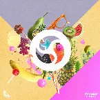 Pochette Hide and Seek