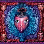 Pochette Faecalibrium