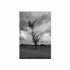 Pochette Quiet Storm