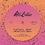 Pochette BNYLV (Derrick Carter remix)