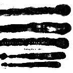 Pochette Thoughts of Trio