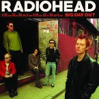 Pochette Big Day Out