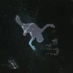 Pochette No Coming Down