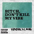 Pochette Bitch, Don’t Kill My Vibe