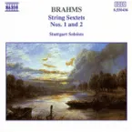 Pochette Sextet for Strings, op. 36 / Trio for Horn, Violin & Piano, op. 40