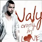 Pochette Crazy in Love