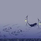 Pochette 遊覧魚船