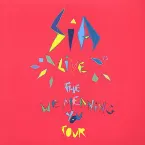 Pochette Live: The We Meaning You Tour