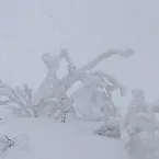 Pochette Studio Live for Hisomine , Omiya (ヒソミネ、大宮）