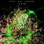 Pochette Dust Intelligence ZETA