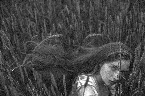 Pochette I Keep Getting Flashes of Splendor and Might From Your Eyes and I Wonder If It's Something in the Stars That Makes Me Feel So Mad... It All Comes Down to One Thing and One Thing Only: You're Like a Hypnotist, Who's Releasing My Woes an