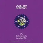Pochette The Beginning of a Beautiful Life