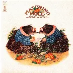 Pochette Matching Mole