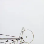 Pochette Kevin Drumm / Brent Gutzeit