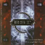 Pochette Corroded Fragments