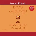 Pochette Dragonfly in Amber