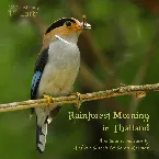 Pochette Rainforest Morning in Thailand
