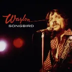 Pochette Songbird