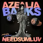 Pochette NEEDSUMLUV