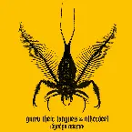 Pochette Dyodyo Asema