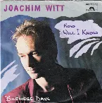 Pochette How Will I Know