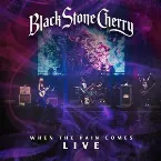 Pochette When the Pain Comes (Live)