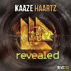 Pochette Haartz
