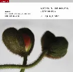 Pochette Romantic Trombone Concertos