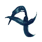 Pochette Forever Unfolding