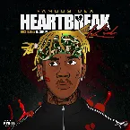 Pochette Heartbreak Kid