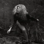 Pochette Silva maleficus