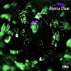 Pochette Shotta Flow 7 (sped up)