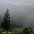 Pochette My Work Is Done, Part V: Shepherds in the Fog