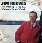 Pochette Just Walking in the Rain / Welcome to My World