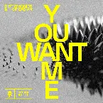 Pochette You Want Me