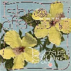 Pochette island afternoon III -DA KINE OF DA BUDS-