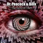 Pochette The Story of DMT