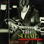 Pochette Ride Like Hell