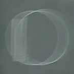 Pochette The Oansome Orbit