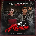 Pochette Por si mañana