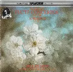 Pochette Flute Concertos K. 313, 314 / Andante K. 315