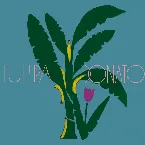 Pochette Tulipa e Donato