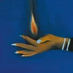 Pochette Il dominio della luce