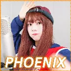 Pochette PHOENIX