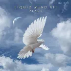 Pochette Liquid Mind XII: Peace