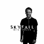 Pochette Skyfall (Metal Version)