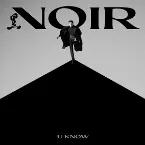 Pochette NOIR