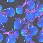 Pochette A La Natural