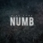 Pochette Numb