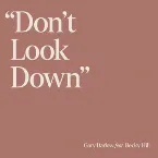Pochette Don't Look Down
